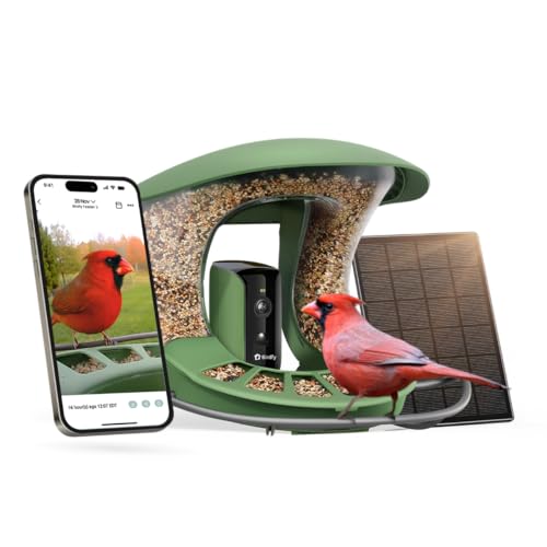 Birdfy 2 smart bird feeder camera with integrated solar roof and AI recognition