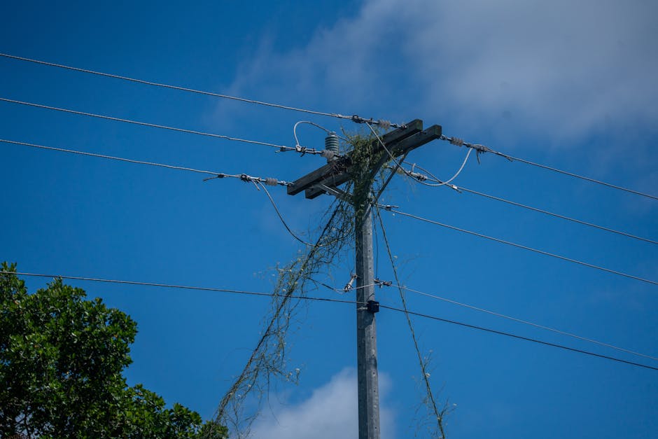 electric skillet vs electric griddle