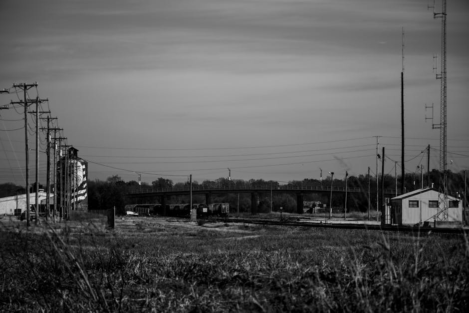 electric skillet vs electric griddle