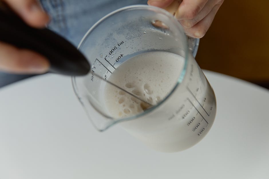 best milk frother under 30